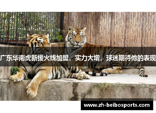 广东华南虎新援火线加盟，实力大增，球迷期待他的表现