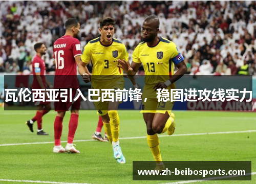 瓦伦西亚引入巴西前锋，稳固进攻线实力