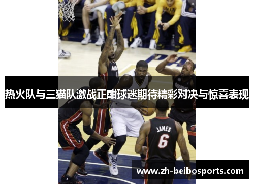 热火队与三猫队激战正酣球迷期待精彩对决与惊喜表现